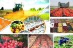 جایگاه ویژه محصولات کشاورزی در مبادلات تجاری با اوراسیا