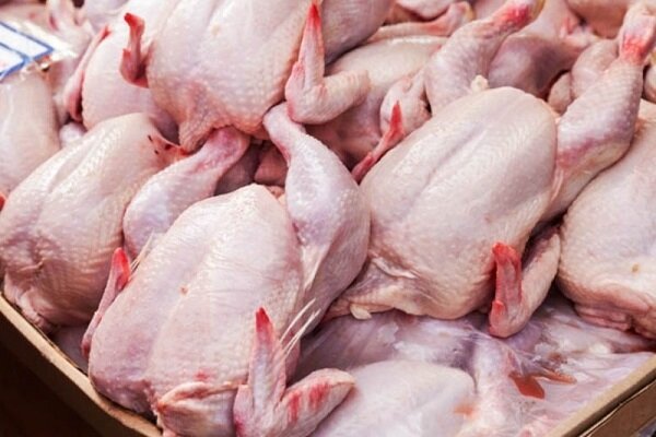 افزایش جزیی نرخ مرغ/ قیمت در بازار به ۲۶ هزار تومان رسید