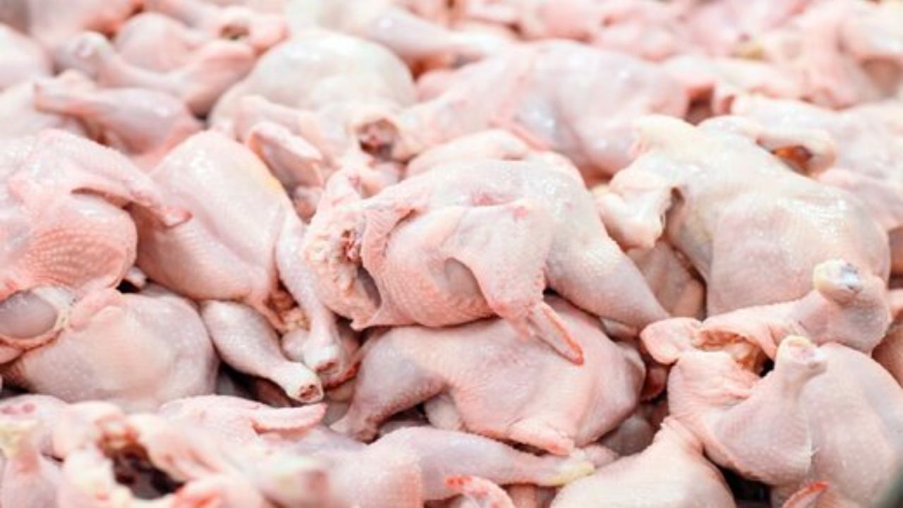 افزایش قیمت هر کیلوگرم مرغ بیش از  ۲۰۴ هزار ریال غیرمنطقی است