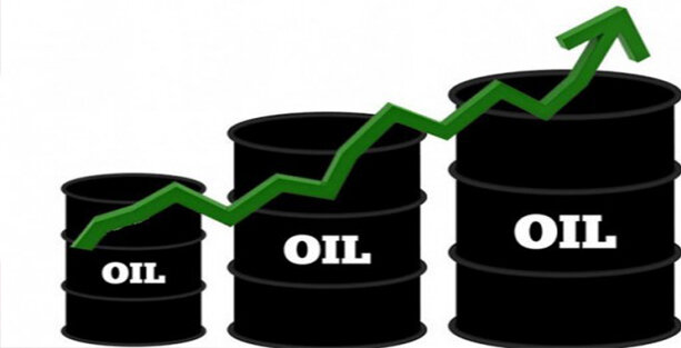 قیمت نفت در اوج ۱۳ ماهه ایستاد