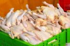 متخلفان عرضه مرغ در لرستان بیش از یک میلیارد تومان جریمه شدند