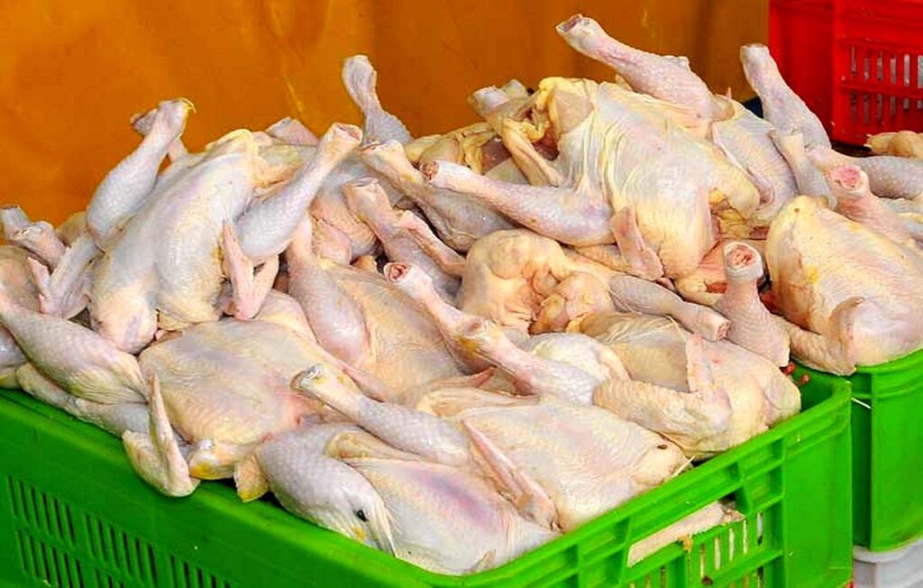 متخلفان عرضه مرغ در لرستان بیش از یک میلیارد تومان جریمه شدند