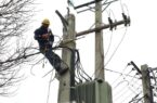 میزان تلفات شبکه برق تک رقمی شد