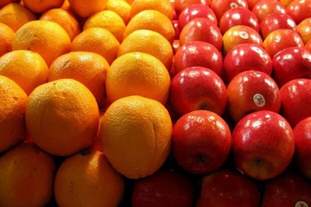 صادرات سیب و پرتقال تا اطلاع ثانوی محدود شد