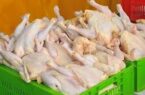 مصوبه واردات مرغ با ارز ترجیحی ابلاغ شد