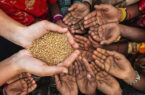 تهدید بی سابقه از کمبود غذا در جهان