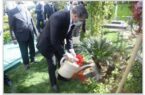 ​خبر خوش مدیرعامل بانک صادرات ایران برای سهامداران بانک در روز درختکاری