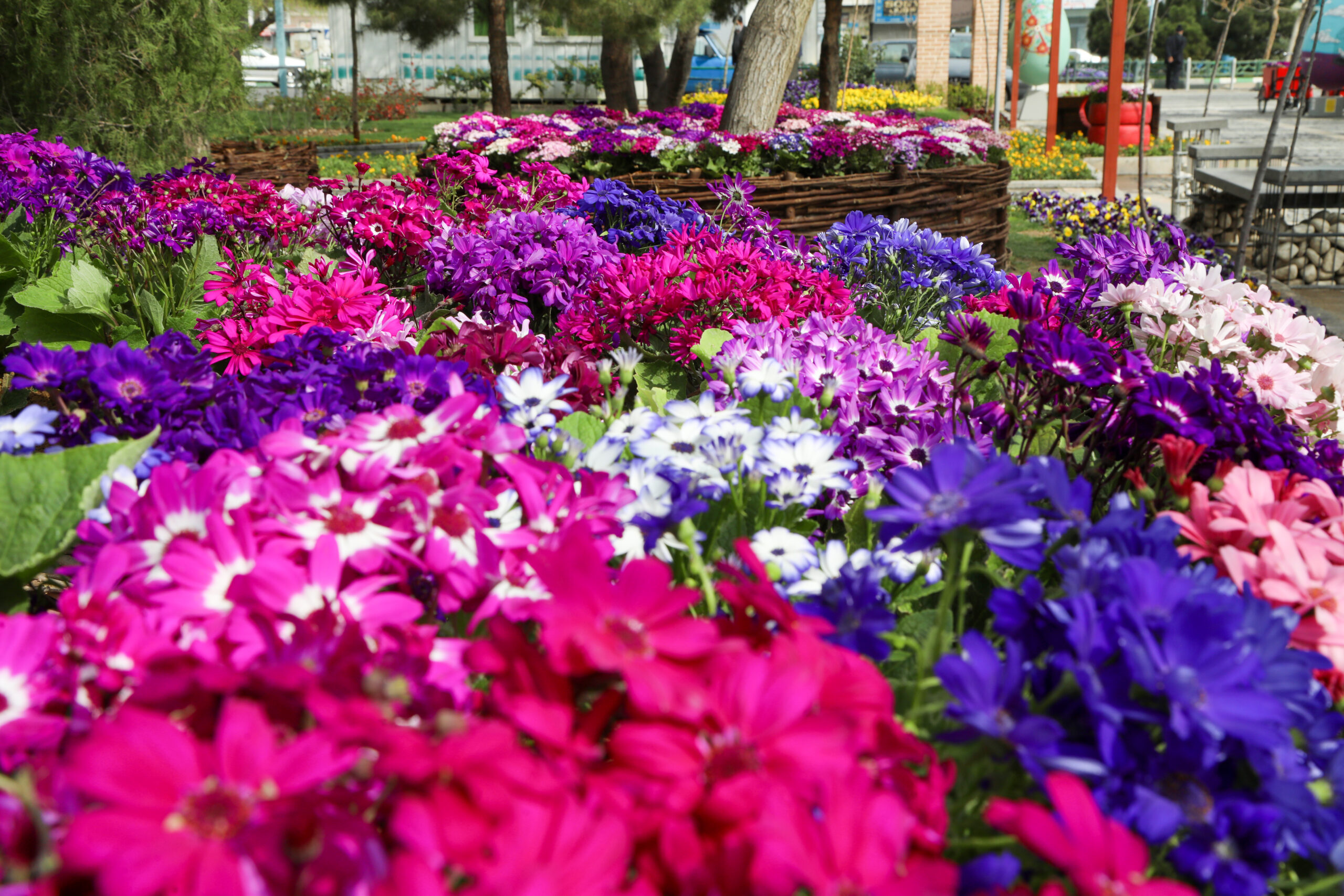 بیش از ۲ هزار متر مربع گل کاری درمنطقه ۱۷