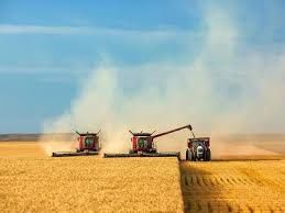 واریز بیش از ۲۶۵ هزار میلیارد ریال وجوه خرید تضمینی گندم توسط بانک کشاورزی