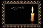 تسلیت مدیرعامل بیمه میهن به مناسبت درگذشت رئیس فقید بنیاد مسکن انقلاب اسلامی