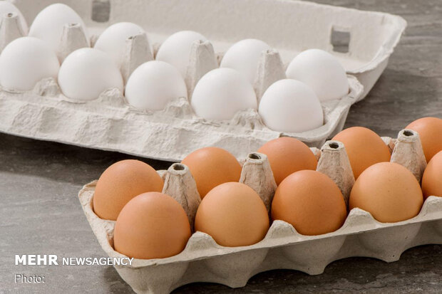 صادرات تخم مرغ متوقف است/با کمبود تولید مواجهیم