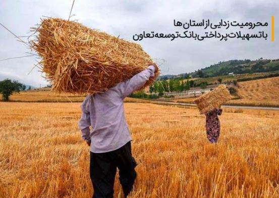 محرومیت زدایی استان ها با تسهیلات پرداختی بانک توسعه تعاون