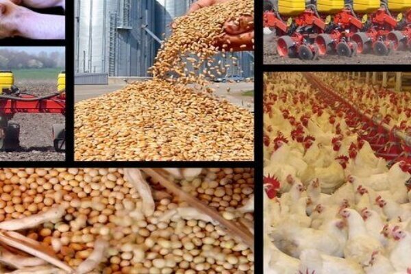 ابعاد تازه ای از سومدیریت در بازار نهاده های دامی