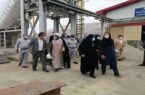 رئیس فراکسیون محیط زیست مجلس شورای اسلامی، از مجتمع مس سرچشمه رفسنجان بازدید کرد