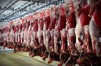 عرضه کنندگان گوشت قرمز از پرداخت مالیات معاف شدند