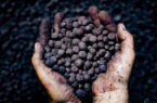 معامله ۱۰۳ هزار تنی معدنی‌ها در بورس کالا