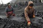 عمر ذخایر داخلی زغال‌سنگ چین ۵۰ سال است