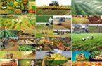 پیشبینی ۲۴ هزار میلیارد تومان تسهیلات برای اجرای کشت قراردادی پیشبینی ۲۴ هزار میلیارد تومان تسهیلات برای اجرای کشت قراردادی