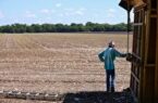 خشکسالی باعث مرگ مزارع پنبه در تگزاس شد