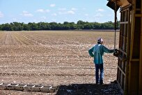 خشکسالی باعث مرگ مزارع پنبه در تگزاس شد