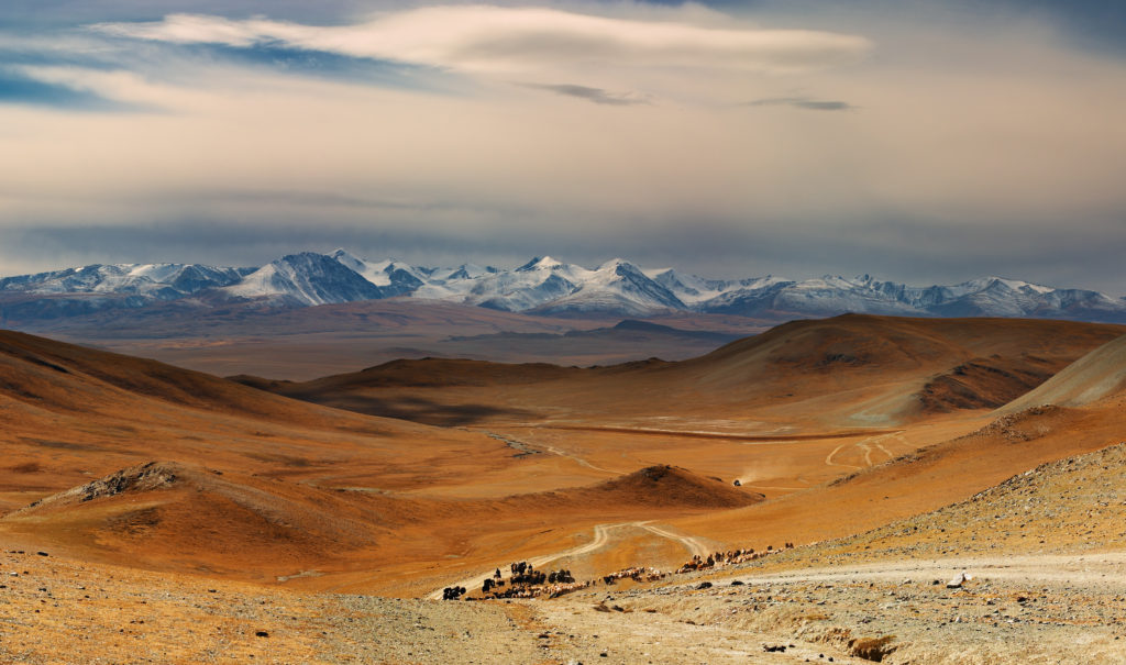 مغولستان، زمین بازی جدید آلمان برای تامین مواد معدنی