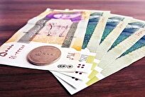برقراری مجدد یارانه ۳ میلیون نفر/ خرید ارز کارت ملی جزء فعالیت اقتصاد خانوار است