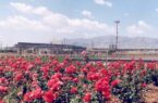 مهلت ثبتنام در آزمون استخدامی فولاد مبارکه تا ۱۰ آذرماه مهلت ثبتنام در آزمون استخدامی فولاد مبارکه تا ۱۰ آذرماه