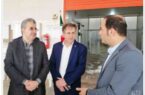 تامین مالی ۴۰۳ میلیارد ریالی سه طرح شاخص استانی از سوی بانک توسعه تعاون در بوشهر