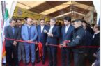 مشارکت بانک توسعه تعاون در نمایشگاه بهاره بوستان ولایت