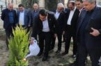 کاشت نهال توسط سرپرست بانک ملی ایران به مناسبت روز درختکاری