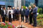 کاشت نهال« امید ملت» به دست مدیرعامل بانک ملت