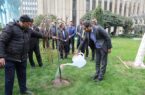 مدیران بانک صادرات ایران در روز درختکاری نهال غرس کردند