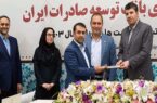 انتصاب سرپرست معاونت توسعه سرمایه‌ انسانی و پشتیبایی بانک توسعه صادرات ایران