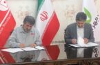 کشاورزان برای خرید تراکتور از بانک قرضالحسنه مهر ایران وام دریافت میکنند کشاورزان برای خرید تراکتور از بانک قرضالحسنه مهر ایران وام دریافت میکنند