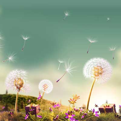 شمارش معکوس برای پایان جشنواره حساب های قرضالحسنه بانک اقتصادنوین؛ تنها ۳ روز فرصت باقی است