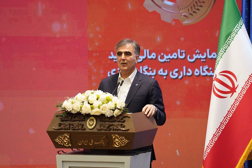 تاکید رئیس کل بانک مرکزی بر ضرورت تخصصی شدن فعالیت بانکها