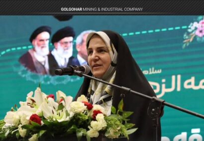 تأکید مشاور رئیسجمهور بر راهاندازی میز حل مسئله با نخبگان در بیمه دی