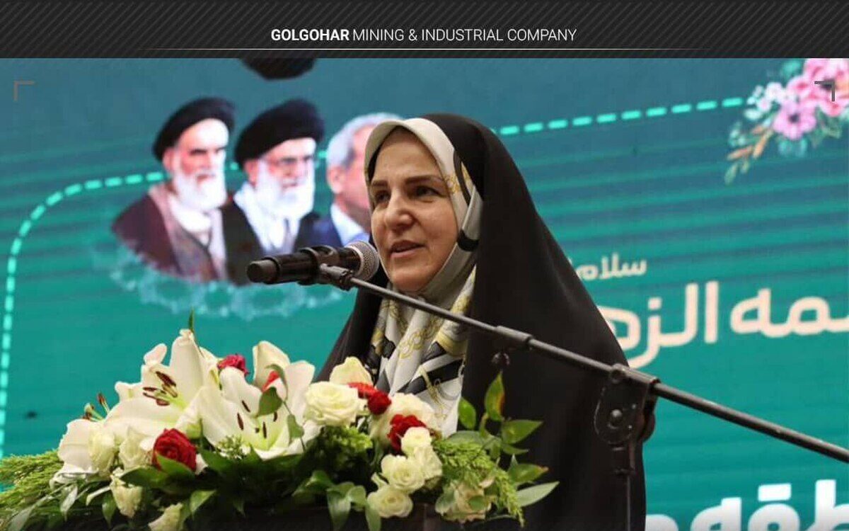 تأکید مشاور رئیسجمهور بر راهاندازی میز حل مسئله با نخبگان در بیمه دی