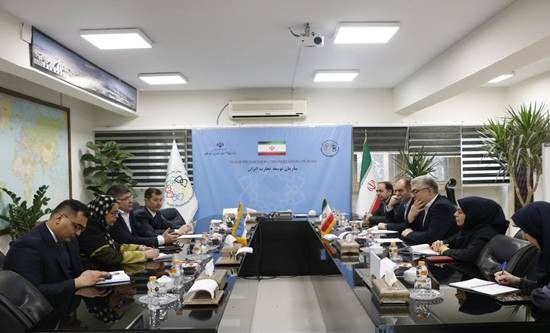 دیدار معاون وزیر صمت ایران با معاون وزیر صنعت و تجارت تاتارستان و سفیر ازبکستان