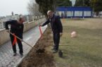 کاشت نهال در بانک صنعت و معدن به مناسبت روز درختکاری کاشت نهال در بانک صنعت و معدن به مناسبت روز درختکاری