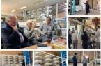 تحولی جدید در صنعت عناصر نادر خاکی ایران: راهاندازی اولین کارخانه نیمه صنعتی فرآوری مونازیت تحولی جدید در صنعت عناصر نادر خاکی ایران: راهاندازی اولین کارخانه نیمه صنعتی فرآوری مونازیت