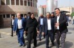 بازدید مدیرعامل بانک صنعت و معدن از شرکت شکوفا بهداشت آرین (پرژک) بازدید مدیرعامل بانک صنعت و معدن از شرکت شکوفا بهداشت آرین (پرژک)