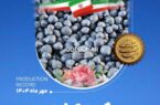 رکوردهای تولیدی روزانه مهرماه ۱۴۰۴ در شرکت معدنی و صنعتی گل گهر رکوردهای تولیدی روزانه مهرماه ۱۴۰۴ در شرکت معدنی و صنعتی گل گهر