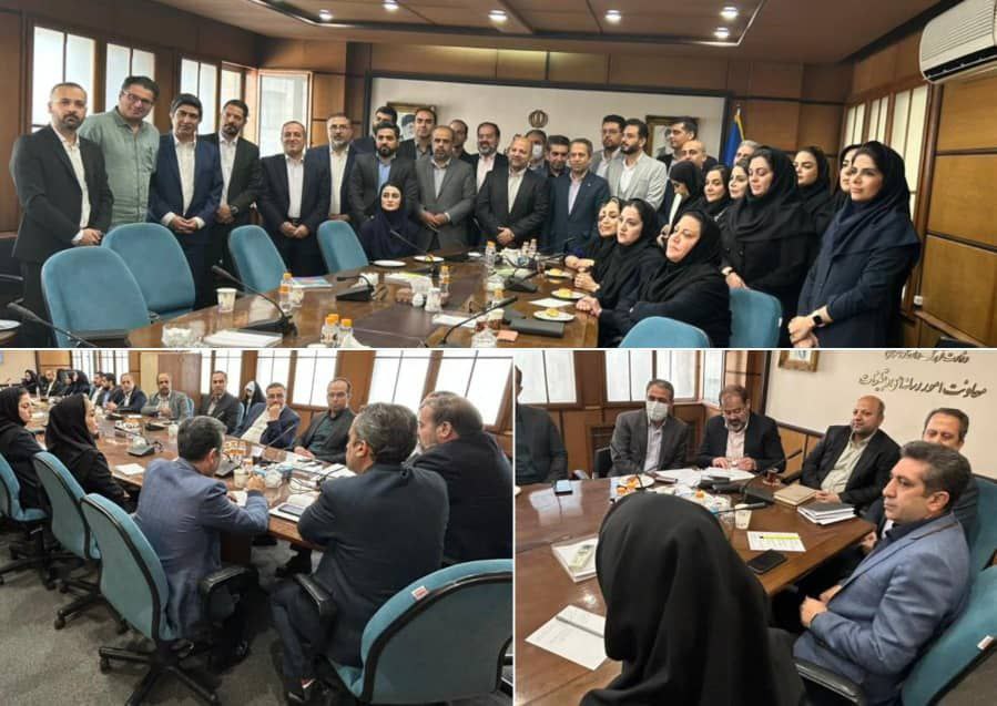 همافزایی صنفی در صنعت بیمه باید تقویت شود