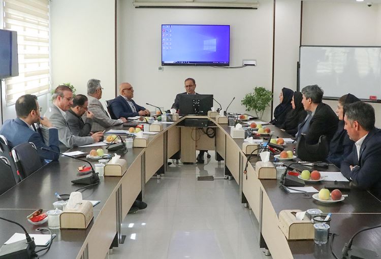 برگزاری نشست هم‌اندیشی اعضای کمیته تعیین حداقل نرخ بیمه درمان