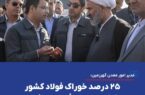 ۲۵ درصد خوراک فولاد کشور از گهر زمین تأمین میشود ۲۵ درصد خوراک فولاد کشور از گهر زمین تأمین میشود