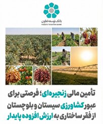تأمین مالی زنجیرهای؛ فرصتی برای عبور کشاورزی سیستان و بلوچستان از فقر ساختاری به ارزش افزوده پایدار