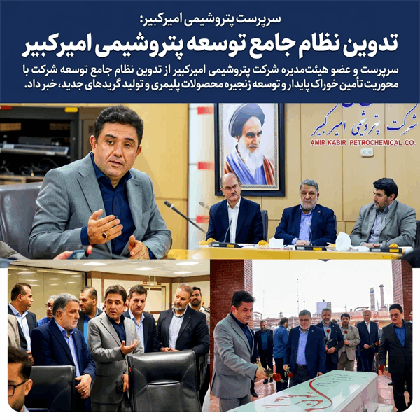 تدوین نظام جامع توسعه پتروشیمی امیرکبیر