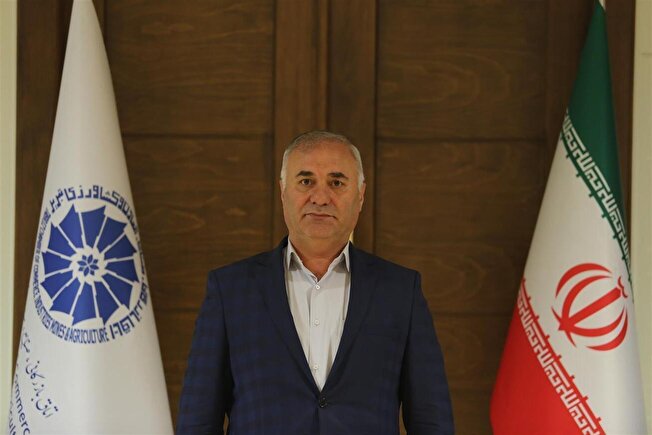 کانون شکل گیری رانت هدف قرار گرفت/ انگیزههای مولد در بازار آزاد افزایش مییابد