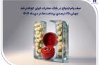 صف وام ازدواج در بانک صادرات ایران کوتاهتر شد؛ جهش ۲۵ درصدی پرداختها در دیماه ۱۴۰۴ صف وام ازدواج در بانک صادرات ایران کوتاهتر شد؛ جهش ۲۵ درصدی پرداختها در دیماه ۱۴۰۴